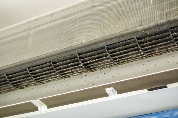 Best Air Duct Cleaning Near Me in China Grove, TX